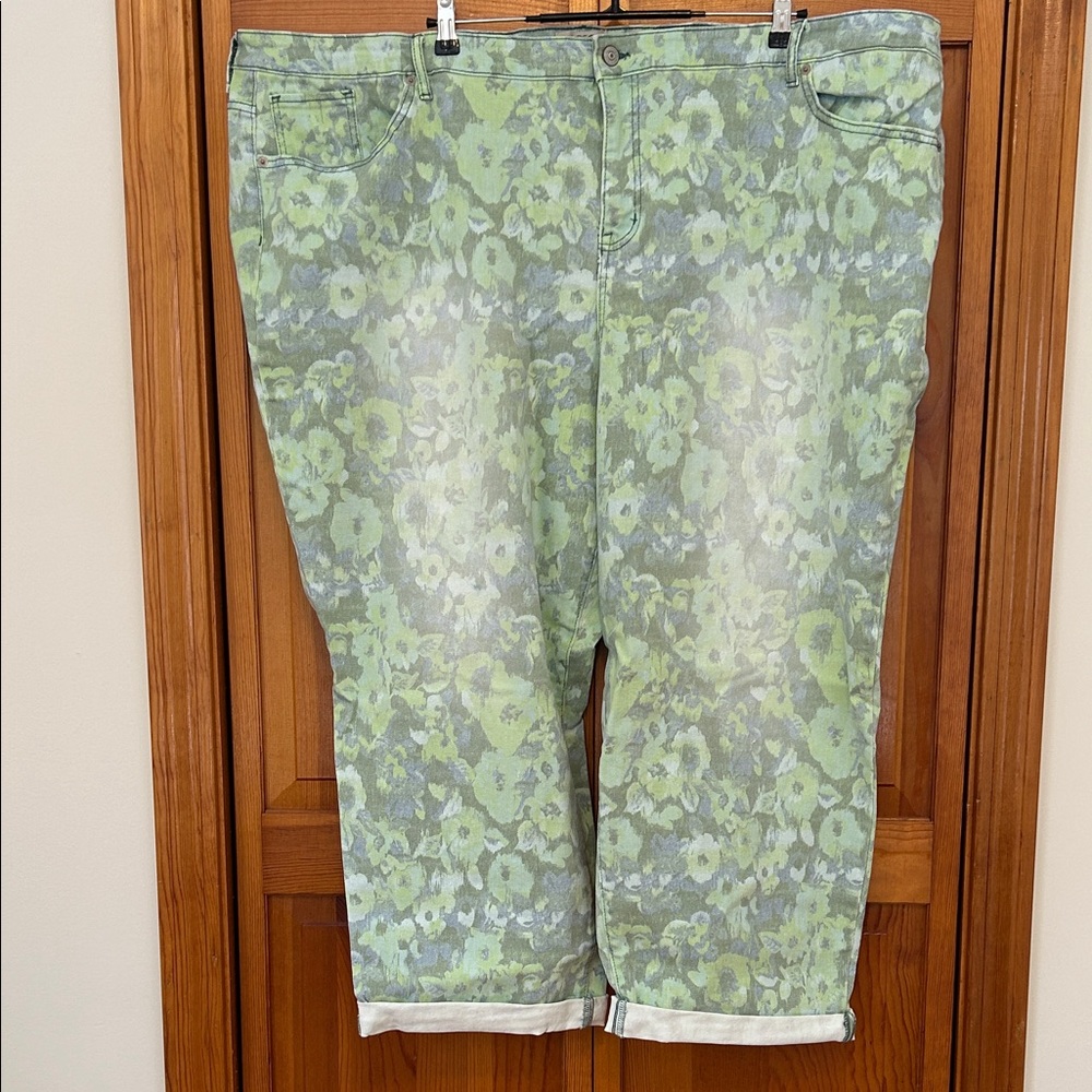 LOGO by Lori Goldstein Floral Boyfriend Jeans Plus 30W New Green Blue Denim